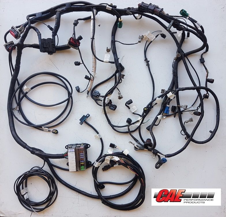 Engine Management loom to suit Ford BA-BF 6cyl. Engine conversion loom. Suit Manual and Auto (includes cruise control)