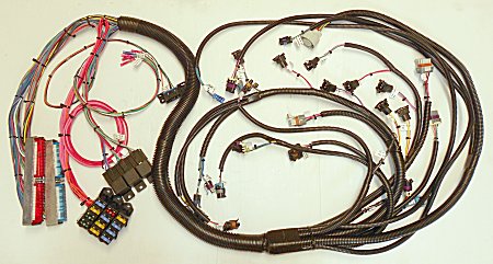 (NEW) Engine Management loom to suit Chev LS-1 Engines with Factory Auto - T56 Man. and suit LS-1 conversion.